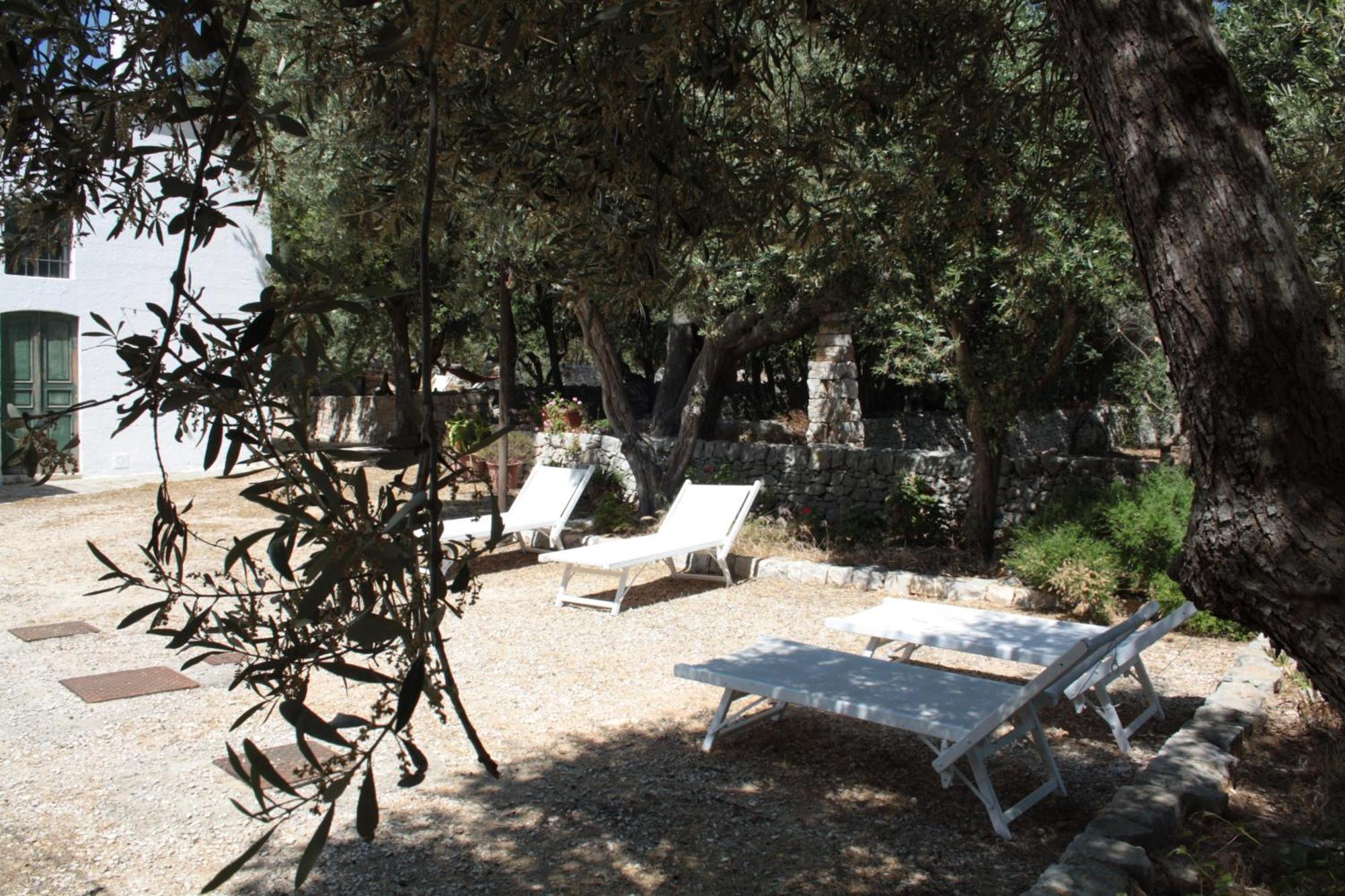 Masseria Trotta B&B Fasano Kültér fotó