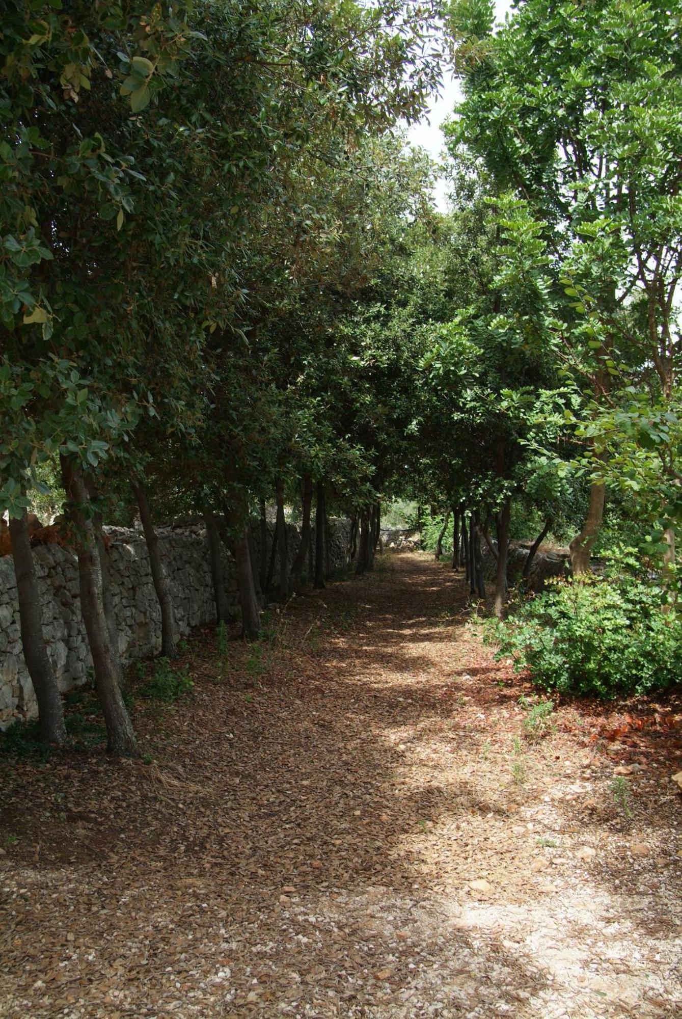 Masseria Trotta B&B Fasano Kültér fotó