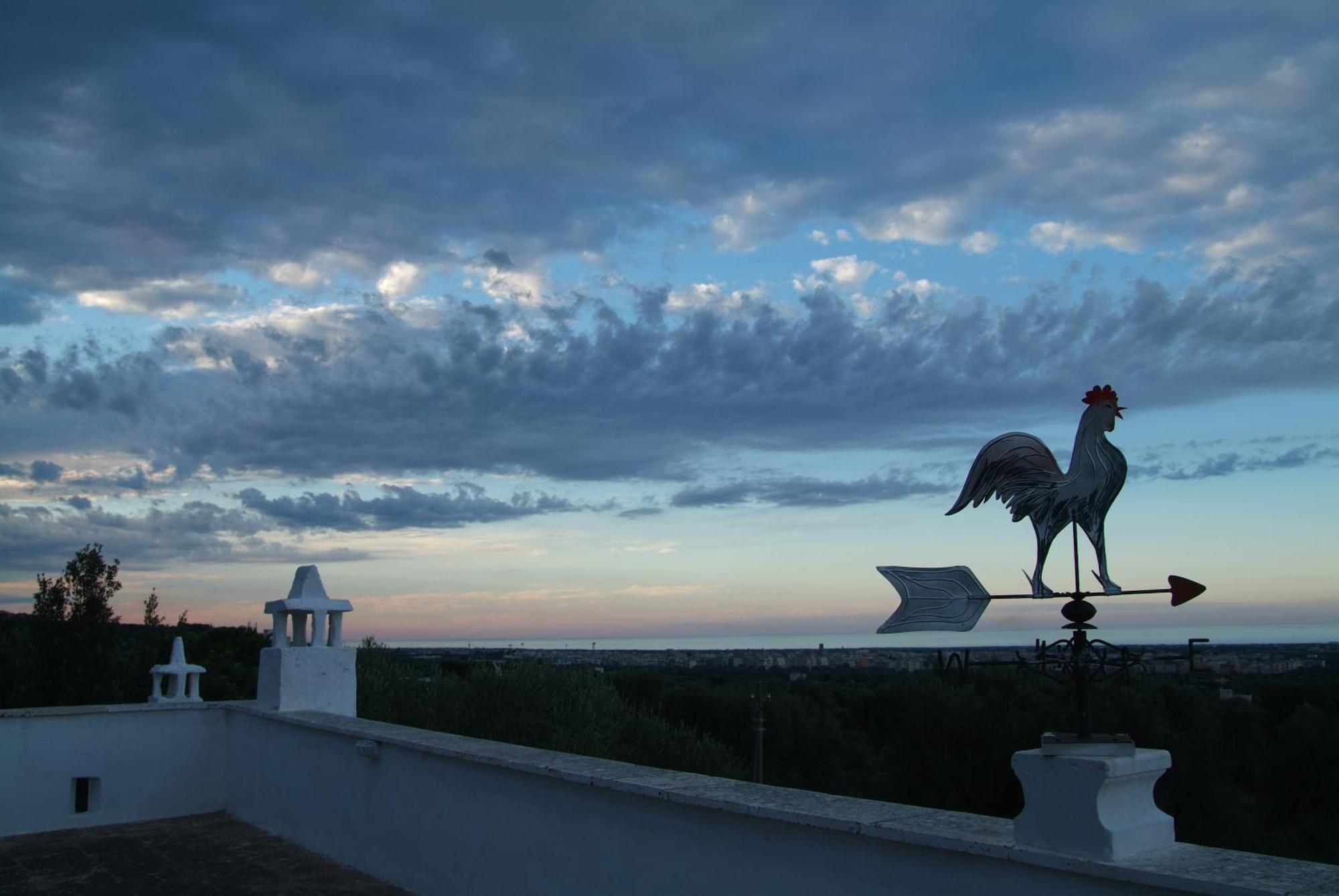 Masseria Trotta B&B Fasano Kültér fotó